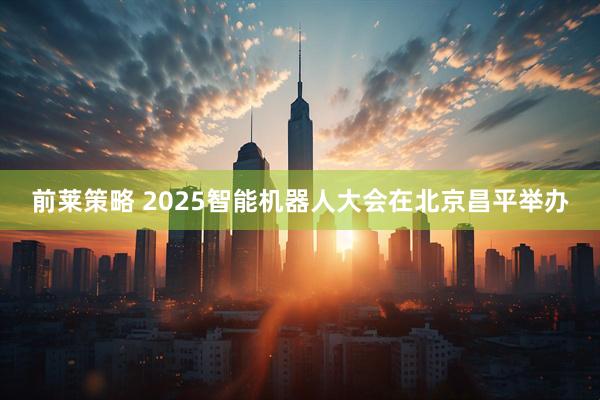 前莱策略 2025智能机器人大会在北京昌平举办